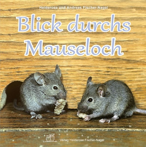 Produktbild: Blick durchs Mauseloch