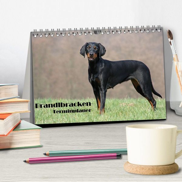 Produktbild: Der Brandlbracken-Terminplaner (Tischkalender 2026 DIN A5 quer), CALVENDO Monatskalender