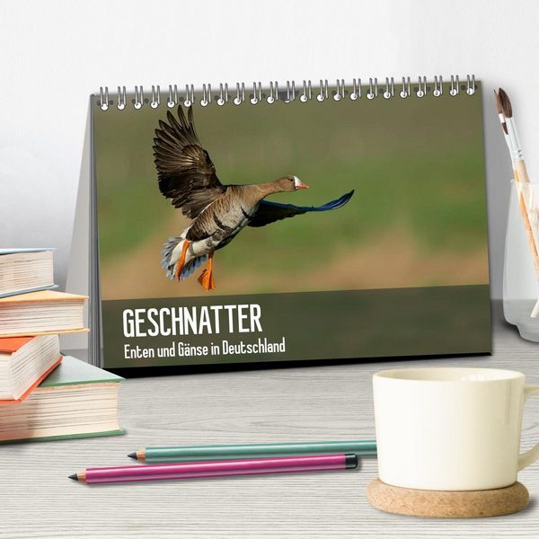 Produktbild: Geschnatter - Enten und G&auml;nse in Deutschland (Tischkalender 2026 DIN A5 quer), CALVENDO Monatskalender