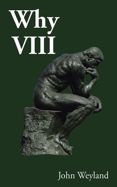 Produktbild: Why Viii