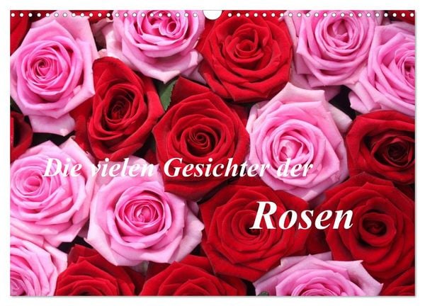 Produktbild: Die vielen Gesichter der Rosen (Wandkalender 2026 DIN A3 quer), CALVENDO Monatskalender