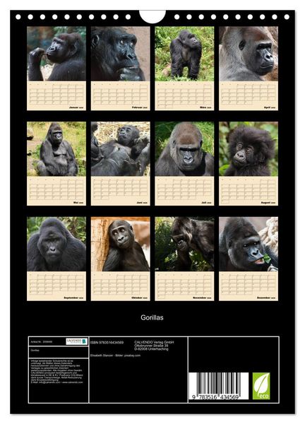 Produktbild: Gorillas (Wandkalender 2026 DIN A4 hoch), CALVENDO Monatskalender