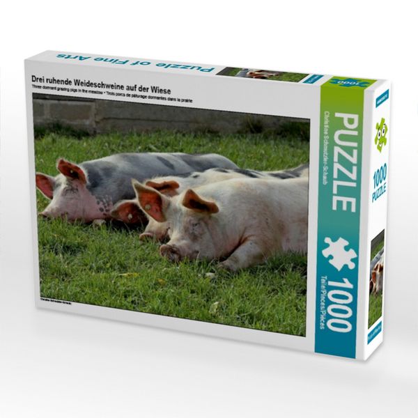 Produktbild: CALVENDO Puzzle Drei ruhende Weideschweine auf der Wiese | 1000 Teile Lege-Gr&ouml;&szlig;e 64x48cm Foto-Puzzle f&uuml;r gl&uuml;ckliche Stunden