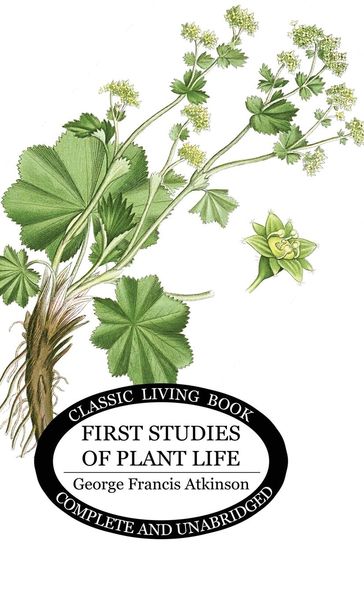 Produktbild: First Studies of Plant Life