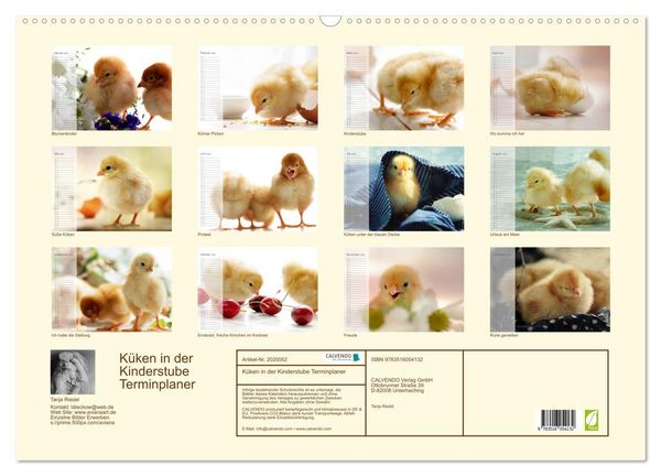 Produktbild: K&uuml;ken in der Kinderstube Terminplaner (Wandkalender 2026 DIN A2 quer), CALVENDO Monatskalender