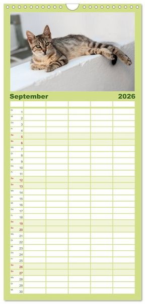 Produktbild: Familienplaner 2026 - Griechische Katzen mit 5 Spalten (Wandkalender, 21 x 45 cm) CALVENDO