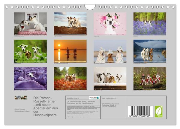 Produktbild: Die Parson-Russell-Terrier ...mit neuen Abenteuern aus der Hundeknipserei (Wandkalender 2026 DIN A4 quer), CALVENDO Monatskalender