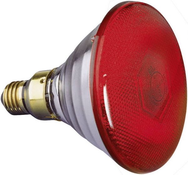 Eurolite Par-38 FL rot Halogen Lichteffekt Leuchtmittel 230V E27 80W Rot dimmbar