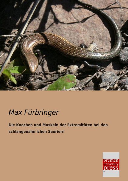 Produktbild: Die Knochen und Muskeln der Extremit&auml;ten bei den schlangen&auml;hnlichen Sauriern
