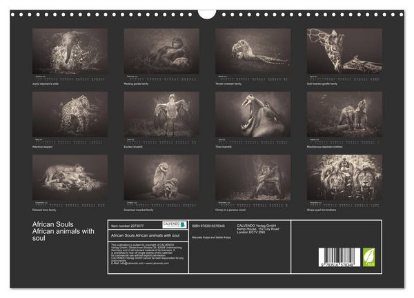Produktbild: African Souls African animals with soul (Wall Calendar 2026 DIN A3 landscape), CALVENDO 12 Month Wall Calendar