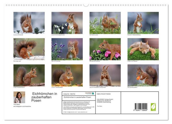 Produktbild: Eichh&ouml;rnchen in zauberhaften Posen (hochwertiger Premium Wandkalender 2026 DIN A2 quer), Kunstdruck in Hochglanz