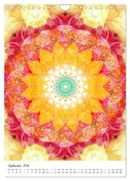Produktbild: MANDALA COMPOSITIONS (Wall Calendar 2026 DIN A4 portrait), CALVENDO 12 Month Wall Calendar