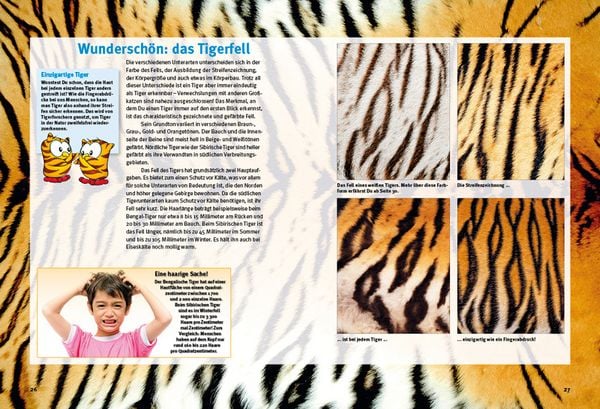 Produktbild: Entdecke die Tiger