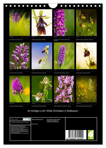Produktbild: Im richtigen Licht: Wilde Orchideen in S&uuml;dbayern (Wandkalender 2027 DIN A4 hoch), CALVENDO Monatskalender