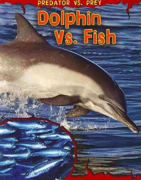 Produktbild: Dolphin Vs Fish