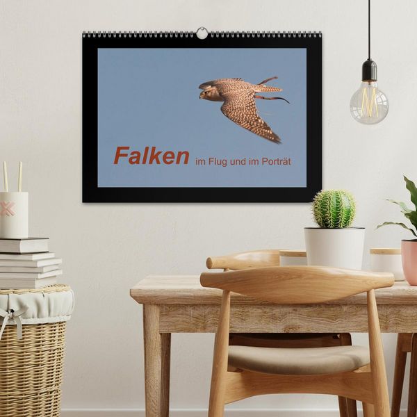 Produktbild: Falken im Flug und im Portr&auml;t (Wandkalender 2026 DIN A3 quer), CALVENDO Monatskalender