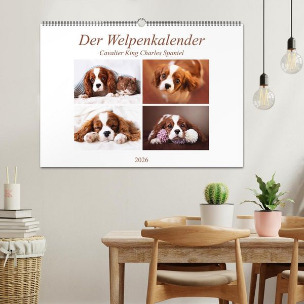 Produktbild: Der Welpenkalender - Cavalier King Charles Spaniel (Wandkalender 2026 DIN A2 quer), CALVENDO Monatskalender