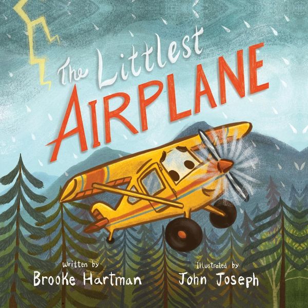 Produktbild: The Littlest Airplane