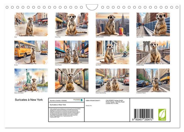 Produktbild: Suricates &agrave; New York (Calendrier mural 2026 DIN A4 vertical), CALVENDO calendrier mensuel