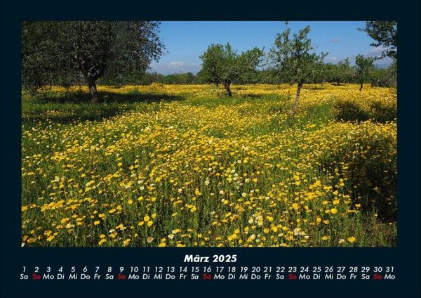 Produktbild: Blumenkalender 2025 Fotokalender DIN A4