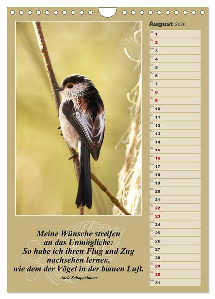 Produktbild: Schwanzmeisen, die niedlichen kleinen Pfannenstielchen (Wandkalender 2026 DIN A4 hoch), CALVENDO Monatskalender