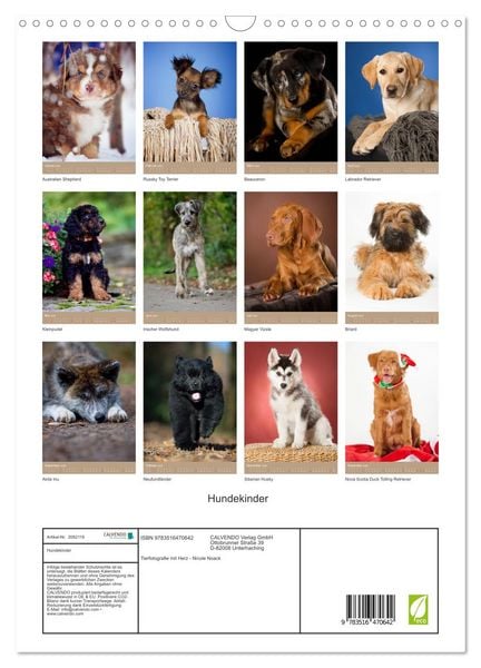 Produktbild: Hundekinder (Wandkalender 2026 DIN A3 hoch), CALVENDO Monatskalender