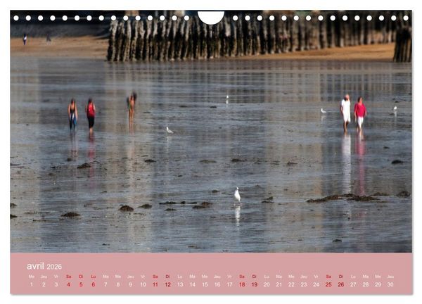 Produktbild: Sillonnez la plage (Calendrier mural 2026 DIN A4 vertical), CALVENDO calendrier mensuel