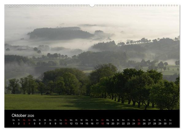 Produktbild: Baum-Variationen (Wandkalender 2026 DIN A2 quer), CALVENDO Monatskalender