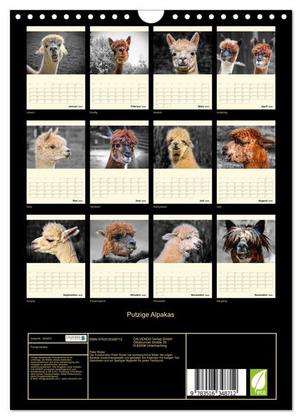 Produktbild: Putzige Alpakas (Wandkalender 2026 DIN A4 hoch), CALVENDO Monatskalender