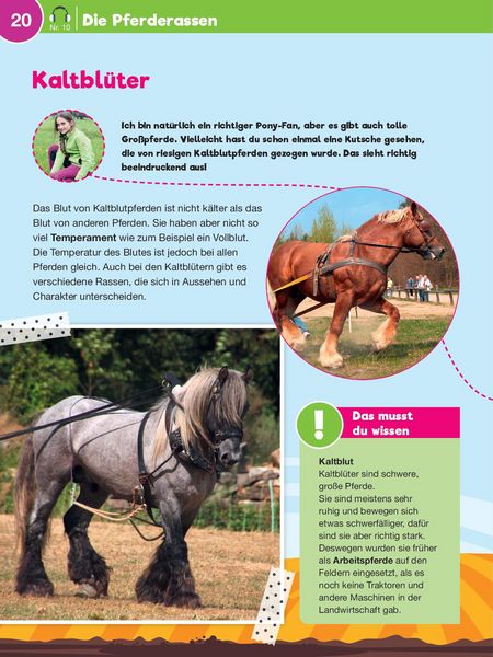 Produktbild: Leselauscher Wissen: Pferde und Ponys