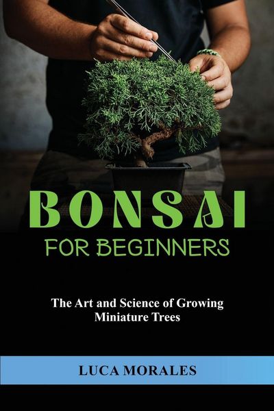 Produktbild: Bonsai for Beginners