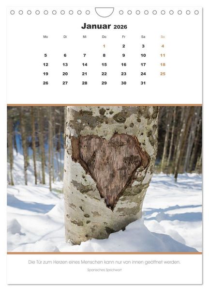 Produktbild: Attraktive Herzmotive 2026 (Wandkalender 2026 DIN A4 hoch), CALVENDO Monatskalender