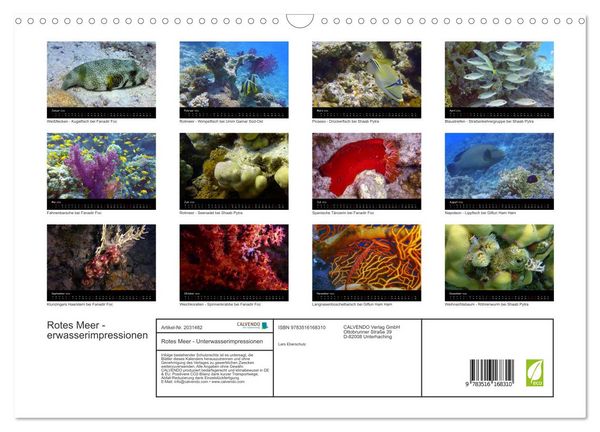 Produktbild: Rotes Meer - Unterwasserimpressionen (Wandkalender 2026 DIN A3 quer), CALVENDO Monatskalender