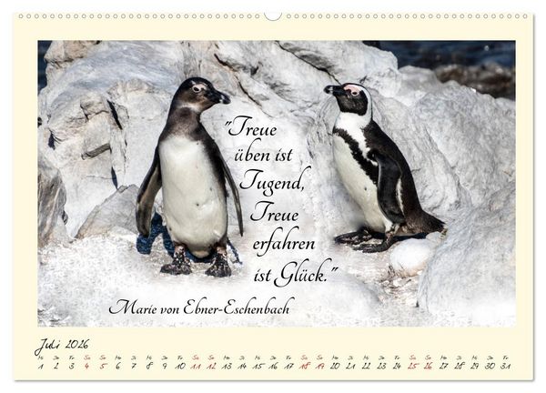 Produktbild: Gl&uuml;cksmomente Gl&uuml;cks-Zitate zu Fotos der gro&szlig;artigen s&uuml;dafrikanischen Tierwelt (hochwertiger Premium Wandkalender 2026 DIN A2 quer), Kunstdruck in Hochglanz
