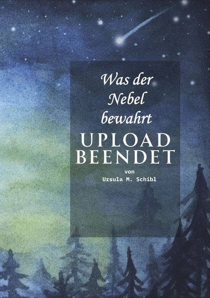 Was der Nebel bewahrt - UPLOAD beendet, Taschenbuch von Ursula Michaela Schibl, Tolino media, 9783695632169