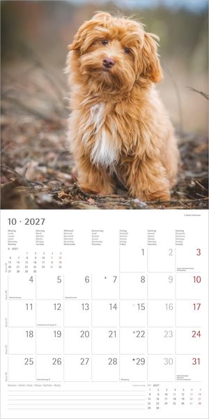 Produktbild: Hunde 2027