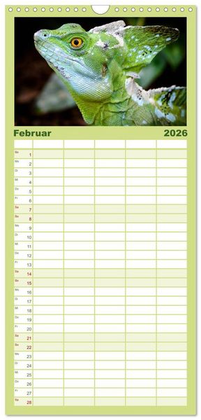 Produktbild: Familienplaner 2026 - Echsen - Schuppige &Uuml;berlebensk&uuml;nstler mit 5 Spalten (Wandkalender, 21 x 45 cm) CALVENDO