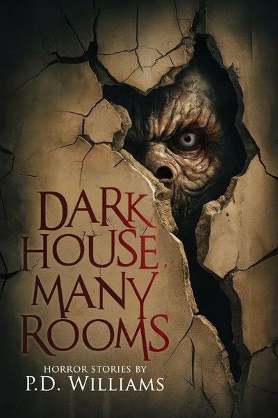 Produktbild: Dark House, Many Rooms