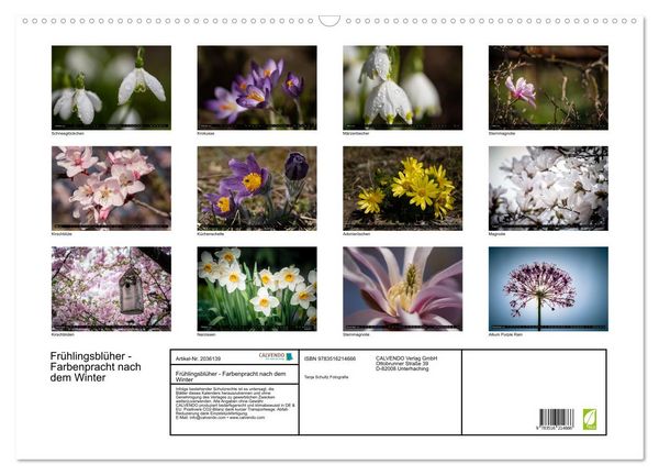 Produktbild: Fr&uuml;hlingsbl&uuml;her - Farbenpracht nach dem Winter (Wandkalender 2026 DIN A2 quer), CALVENDO Monatskalender