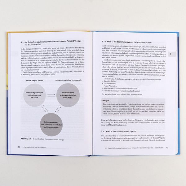 Produktbild: Compassion Focused Therapy in der Praxis