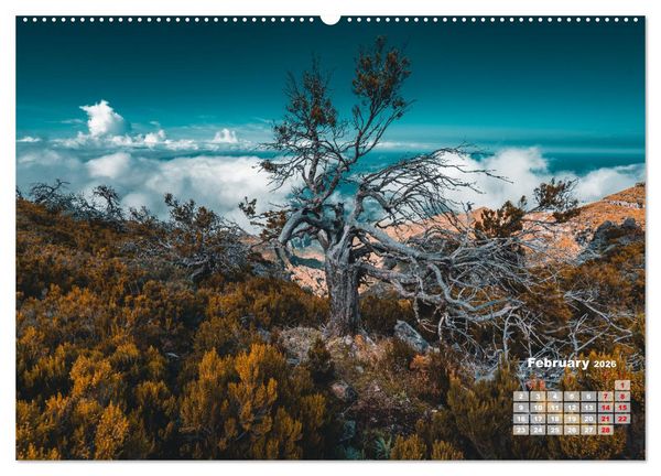 Produktbild: Madeira Island - Portugal (Wall Calendar 2026 DIN A2 landscape), CALVENDO 12 Month Wall Calendar