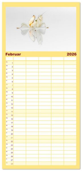 Produktbild: Familienplaner 2026 - Im Bann der Mantis mit 5 Spalten (Wandkalender, 21 x 45 cm) CALVENDO