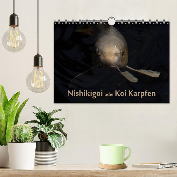 Produktbild: Nishikigoi oder Koi Karpfen (Wandkalender 2026 DIN A4 quer), CALVENDO Monatskalender