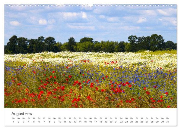 Produktbild: Die sch&ouml;nsten Blumenwiesen der Welt (hochwertiger Premium Wandkalender 2026 DIN A2 quer), Kunstdruck in Hochglanz