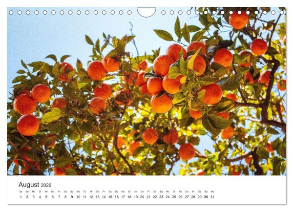 Produktbild: Spanien - ein Land zum Verlieben. (Wandkalender 2026 DIN A4 quer), CALVENDO Monatskalender