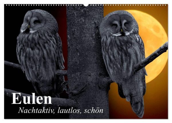 Produktbild: Eulen. Nachtaktiv, lautlos, sch&ouml;n (Wandkalender 2026 DIN A2 quer), CALVENDO Monatskalender