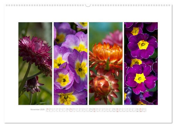 Produktbild: Gartenfreude (Wandkalender 2026 DIN A2 quer), CALVENDO Monatskalender