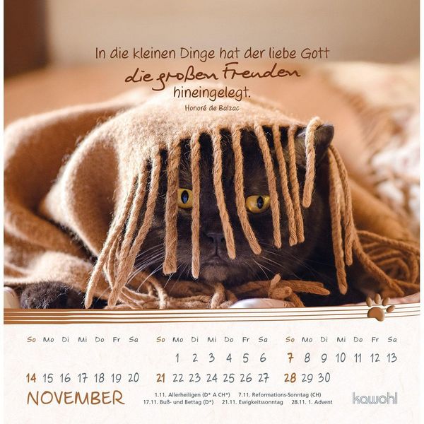 Produktbild: Kleine Katzen-Tatzen 2027