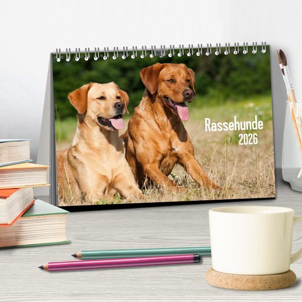 Produktbild: Rassehunde (Tischkalender 2026 DIN A5 quer), CALVENDO Monatskalender