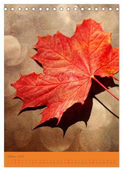 Produktbild: Natur Tr&auml;ume (Tischkalender 2026 DIN A5 hoch), CALVENDO Monatskalender